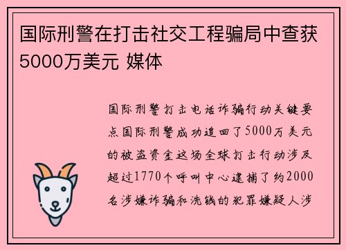 国际刑警在打击社交工程骗局中查获5000万美元 媒体